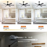 Ventilador de techo reversible de Ø152 cm Motor DC con iluminación y mando a distancia