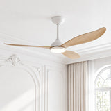 Ventilador de techo silencioso SOLIS de Ø132 cm con luz LED
