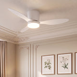 Sierra Ultra-Quiet DC Motor Ceiling Fan Ø106 cm / Ø132 cm with LED Light