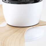 Ventilador de techo silencioso Almaga de Ø61 cm con luz LED 