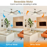 Ventilador de techo reversible de Ø165 cm con luz y mando a distancia