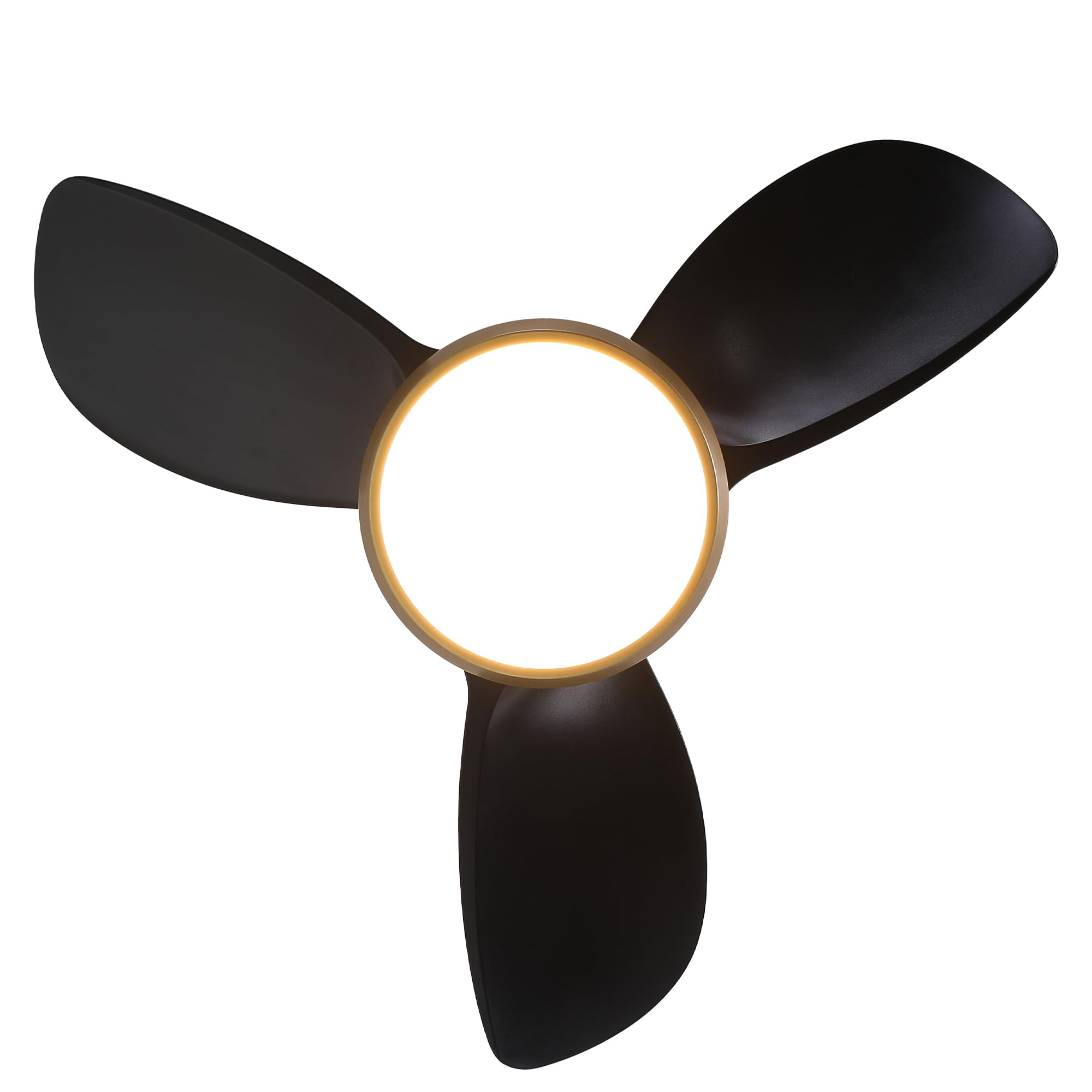Ventilador de techo silencioso Colla Ø76 cm con luz LED