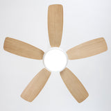 Ventilador de techo silencioso Ella de Ø106 cm con 5 aspas y luz LED 